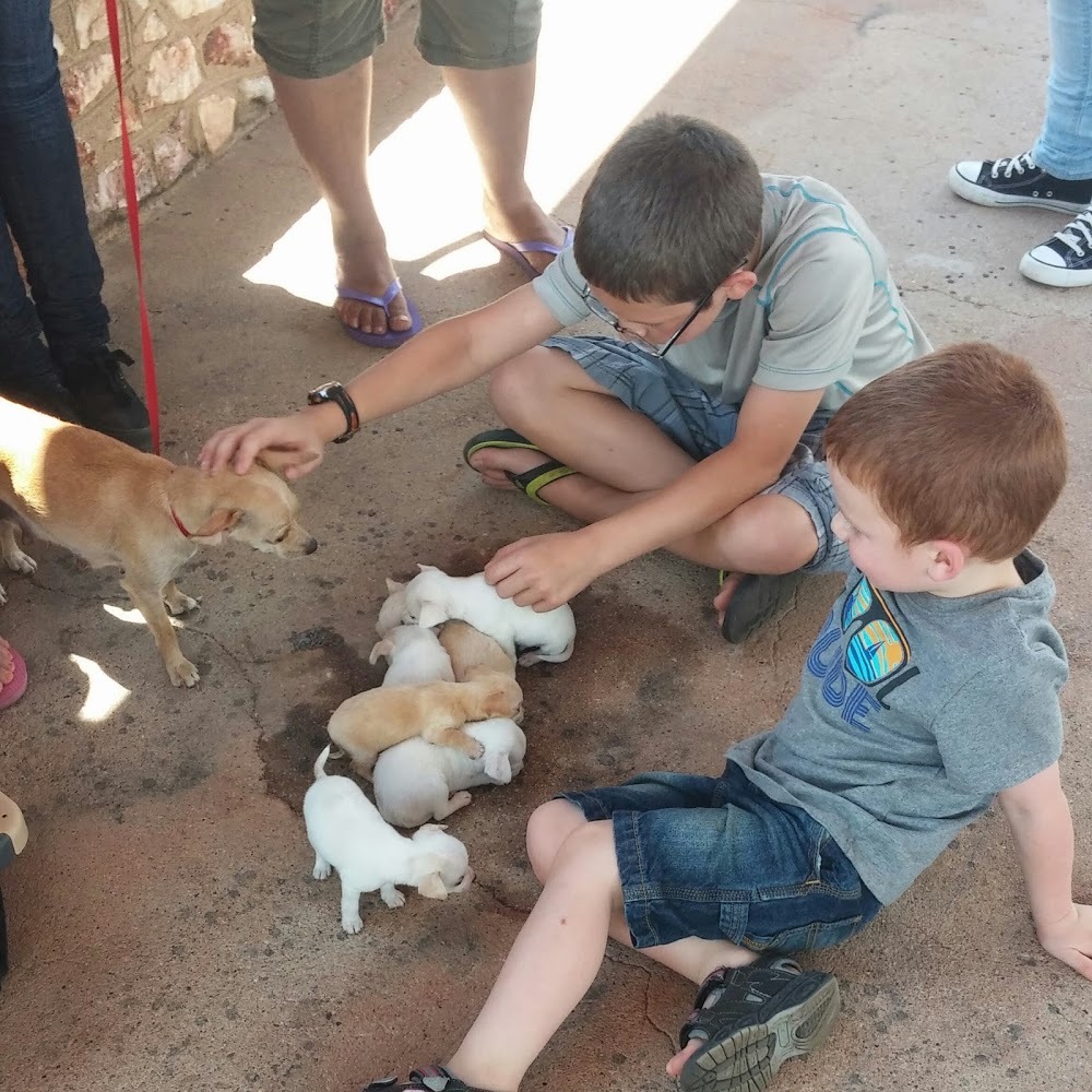 Meet your Posher, Mom bab colton jessee jr